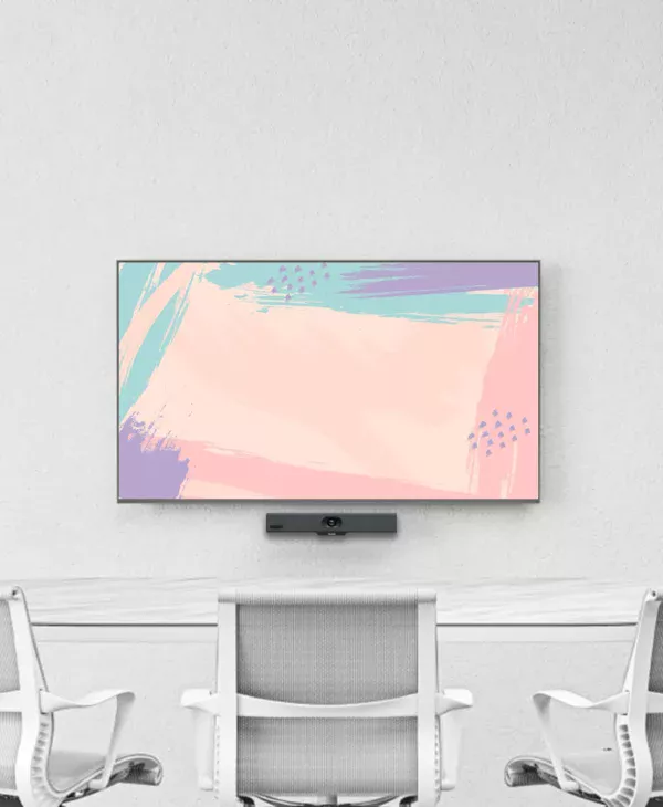 Videoconferentie Oplossing - Basic