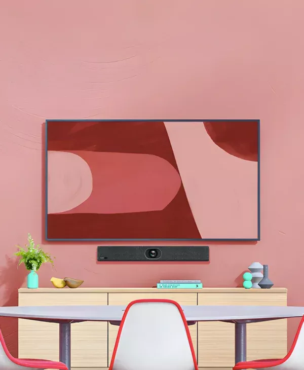 Videoconferentie Oplossing - Premium