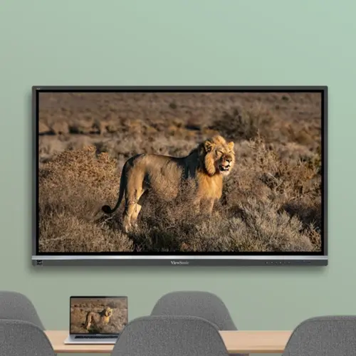 Leeuw op een scherm in vergaderruimte.