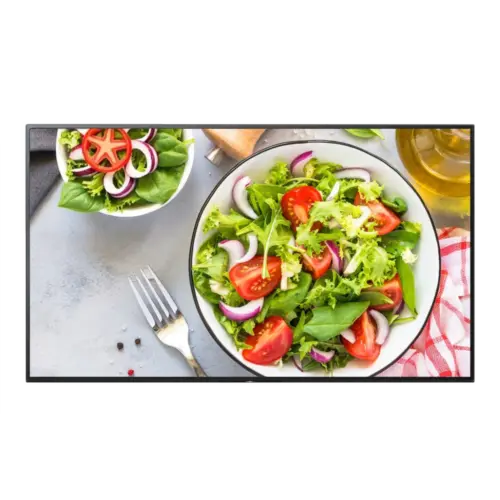 Salade met tomaten, ui en groene bladsla.